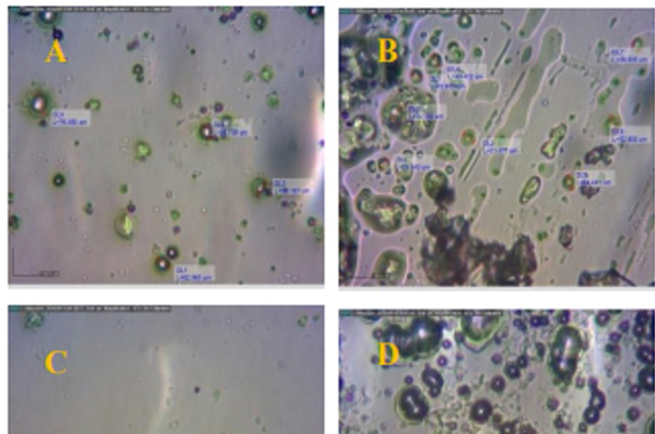 Evaluación del efecto de diferentes relaciones etanol: agua y porcentajes de maltodextrina en palma (Elaeis guineensis)
