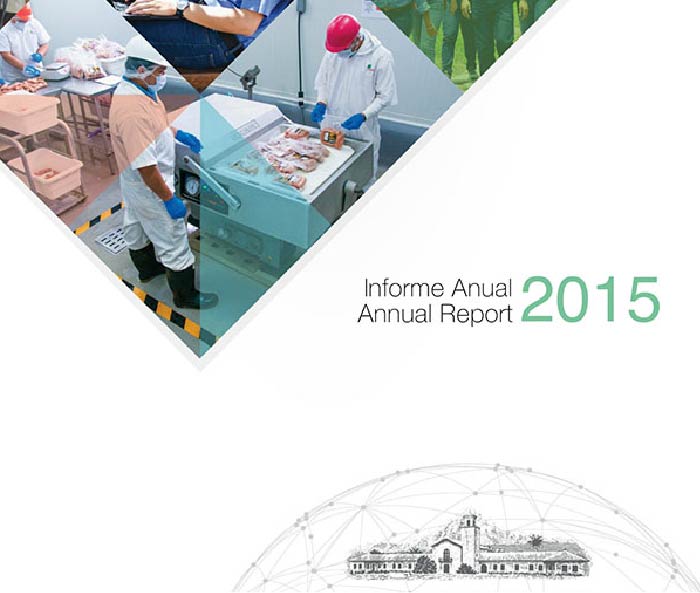 informe anual 2015