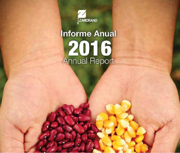 informe anual 2016