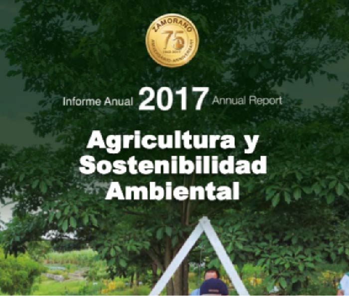 informe anual 2017