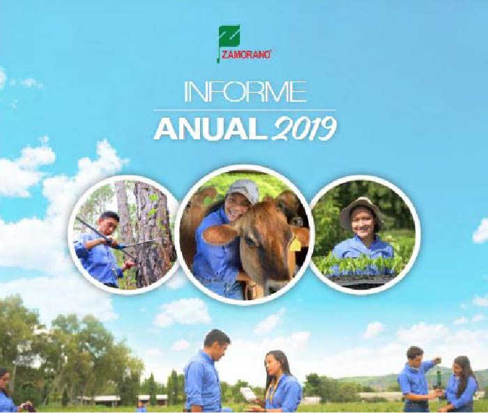 Informe anual 2019